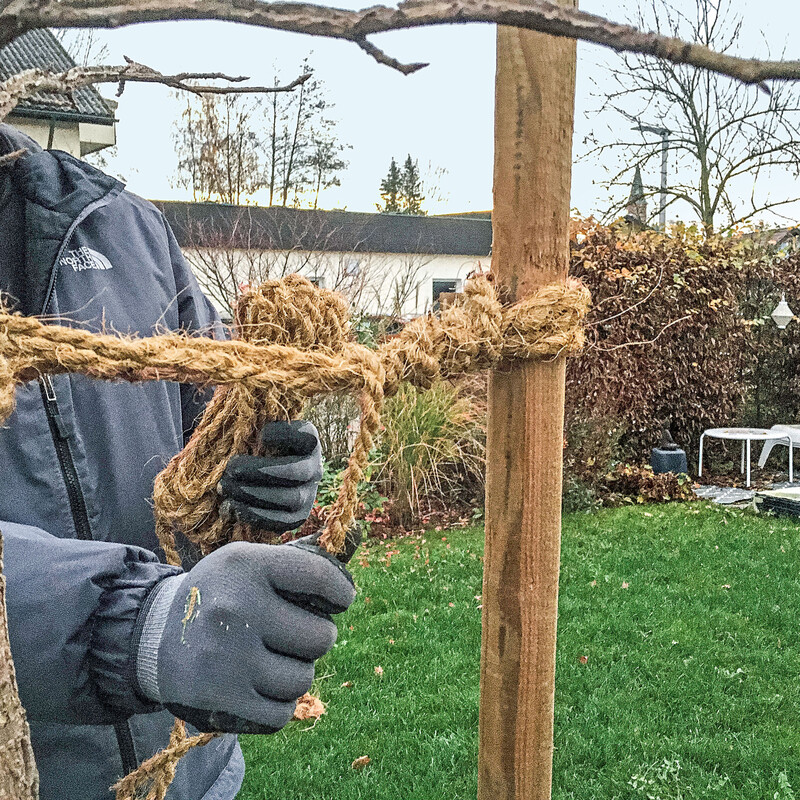 Stützpfahl für einen jungen Baum