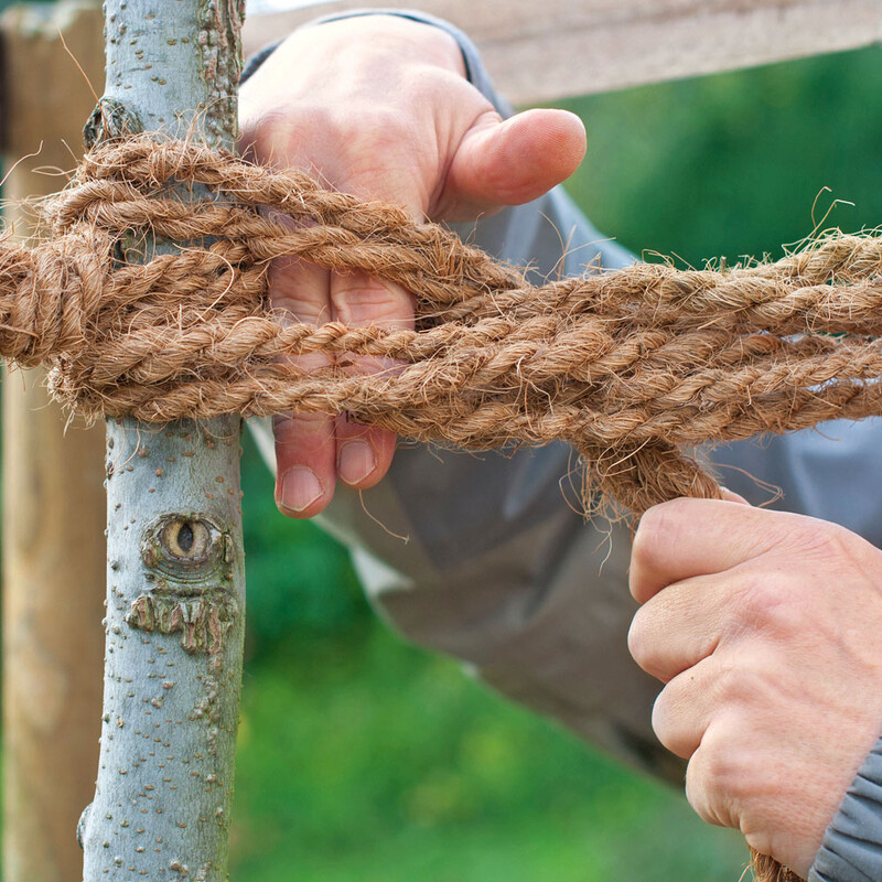 Baum stützen Schritt 3