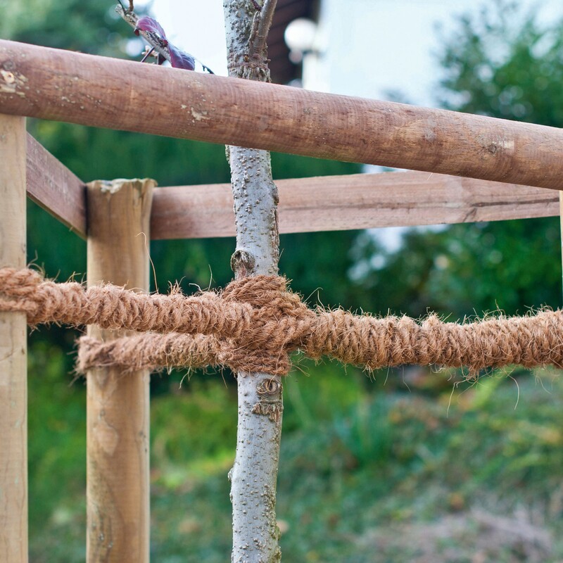 Baum stützen Schritt 4