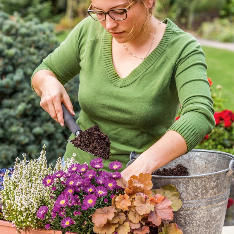 Balkonkasten für den Herbst bepflanzen