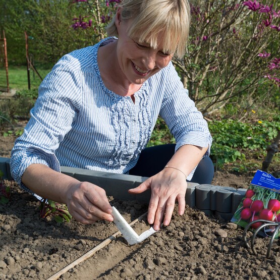 Frau erntet Radieschen