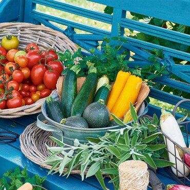 Balkongemüse ernten: Tomaten, Zucchini & Co