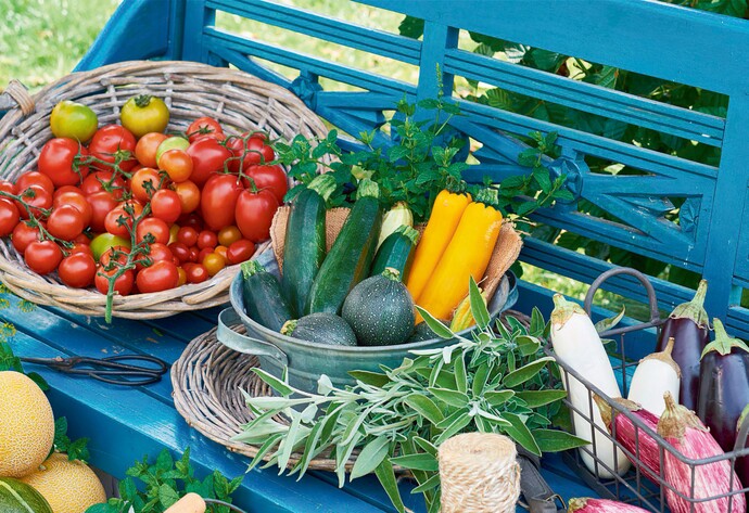 Balkongemüse ernten: Tomaten, Zucchini & Co