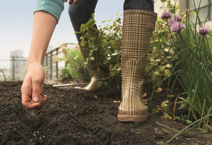 Person in Gummistiefel verteilt Samen in Beet