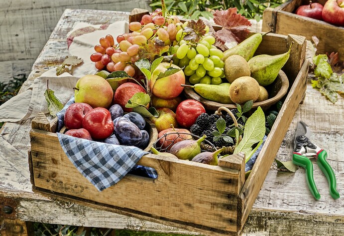 Obstkiste