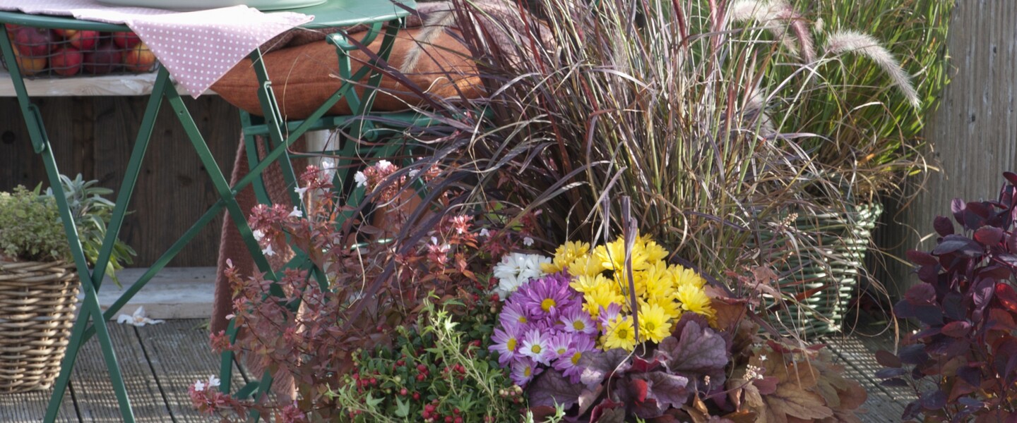 Herbstschale mit verschiedenen Gräsern