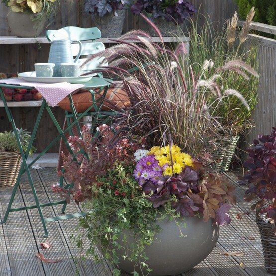 Herbstschale mit verschiedenen Gräsern