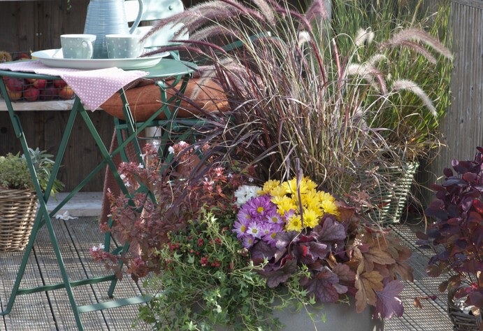 Herbstschale mit verschiedenen Gräsern