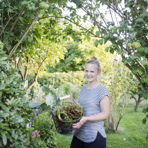 Frau hält Korb mit Ernte aus dem Schrebergarten