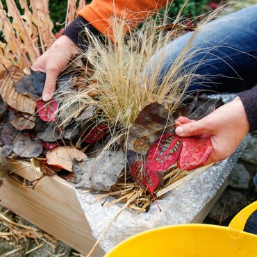Laub als Winterschutz im Blumenkasten
