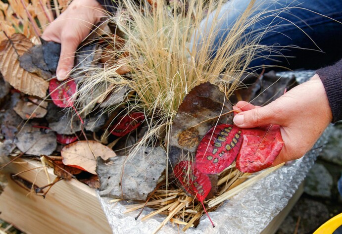 Laub als Winterschutz im Blumenkasten