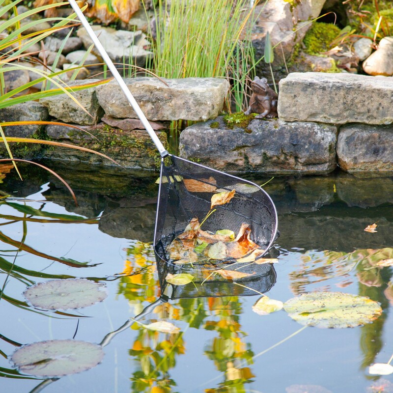 Laub mit einem Kescher aus Teich entfernen