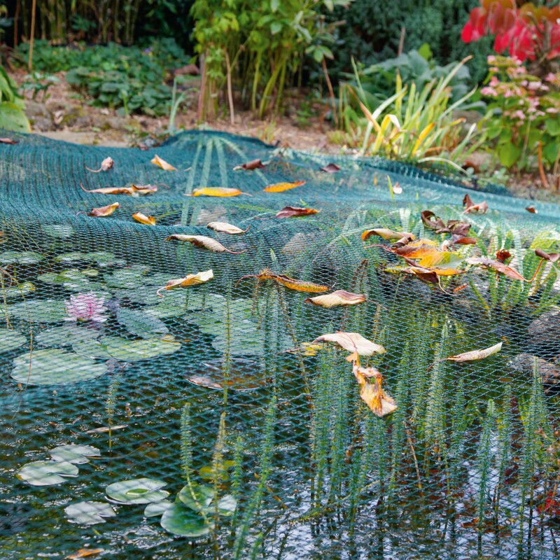 Teich mit Laubschutznetz