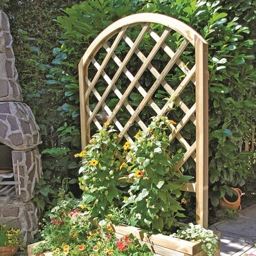 Kletterpflanzen an einer Rankhilfe aus Holz