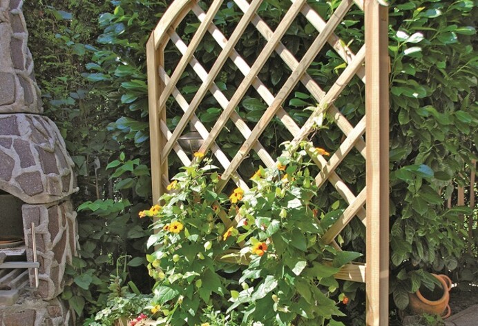 Kletterpflanzen an einer Rankhilfe aus Holz