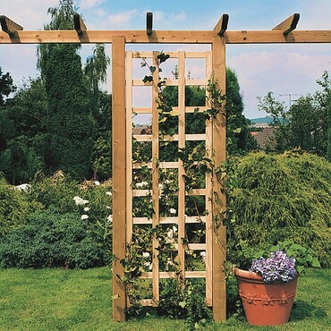 Eine Kletterpflanze Efeu an einer Rankhilfe aus Holz