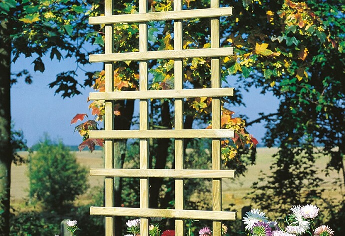 Rankhilfe aus Holz für Kletterpflanzen