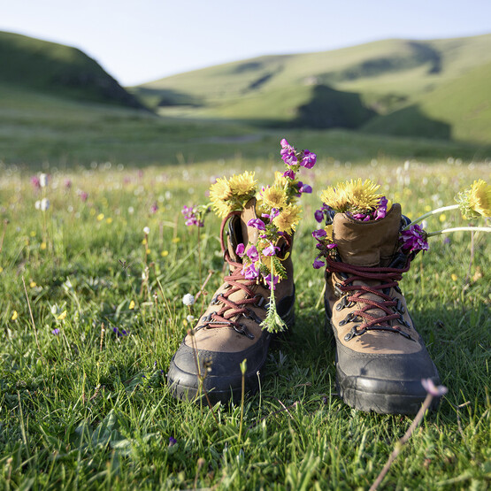 Wanderschuhe stehen auf Bergwiese