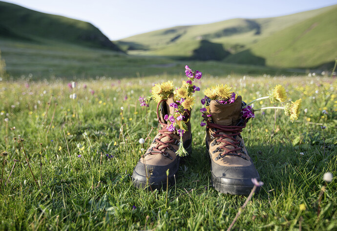Wanderschuhe stehen auf Bergwiese
