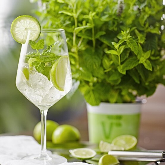 Hugo-Cocktail mit Minze im Topf