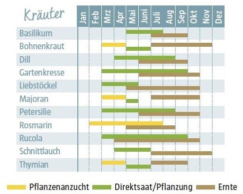 Gärtnerkalender für Kräuter