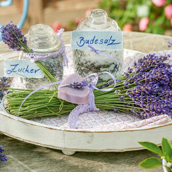 Lavendel-Kosmetik & Lavendel-Zucker