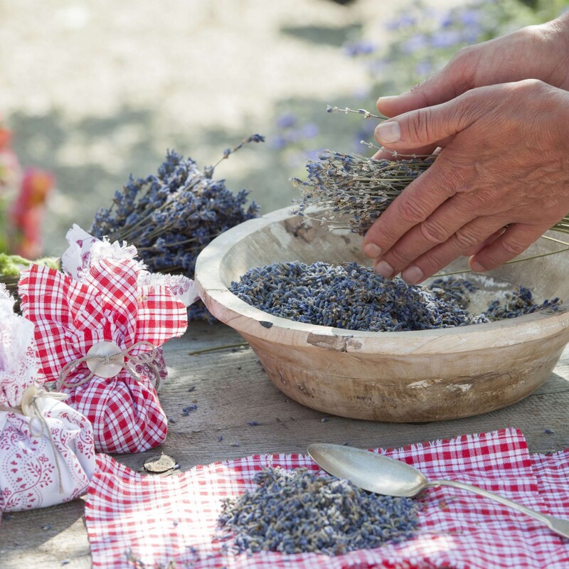 Lavendel lösen