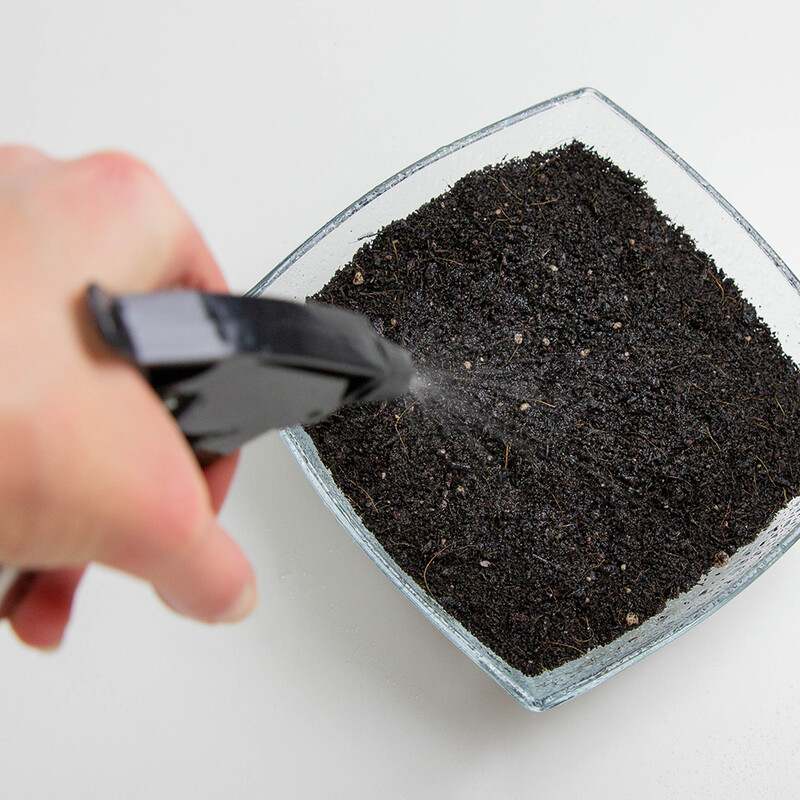 Erde wird mit Hilfe einer Sprühflache befeuchtet