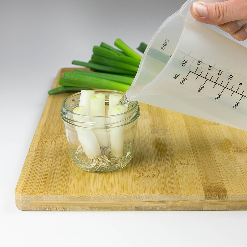 Wasser wird in Glas mit Lauchzwiebeln gefüllt