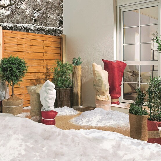 Verschiedene Pflanzen mit Winterschutzvlies