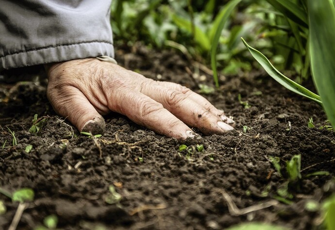 Hand fasst in frische Erde