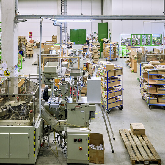 Produktionshalle Saatgut Kiepenkerl