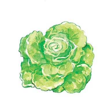 Kopfsalat
