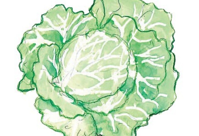 Eissalat