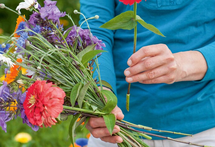 Schnittblumen aus dem Garten: Diese Sorten eignen sich