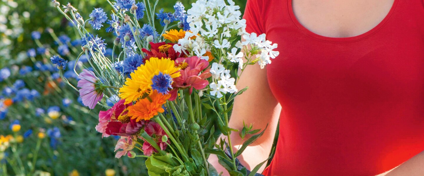 Schnittblumen aus dem eigenen Garten