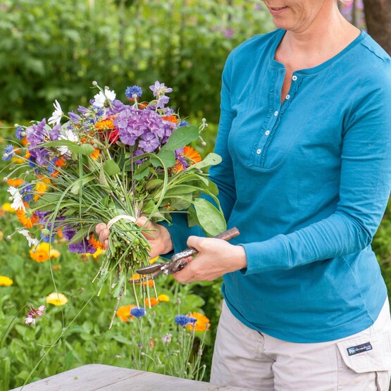Schnittblumen aus dem garten binden und anschneiden