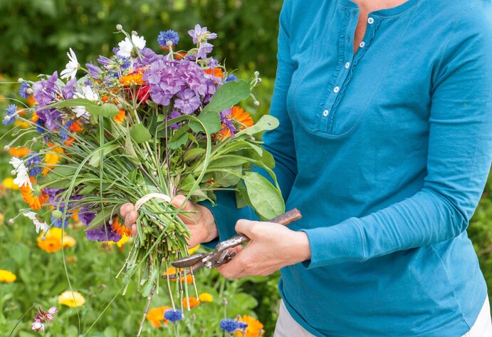 Schnittblumen aus dem garten binden und anschneiden