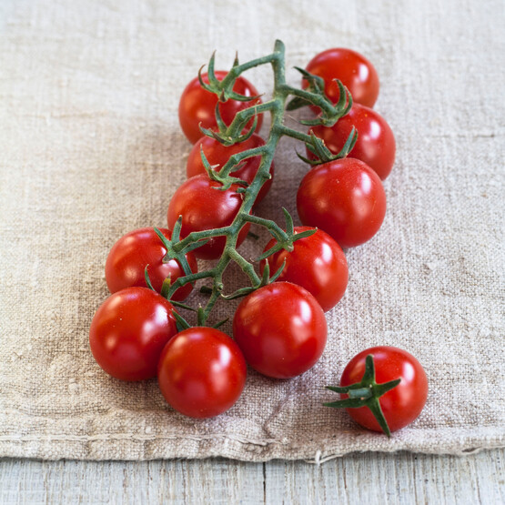 Necktartomate Solena