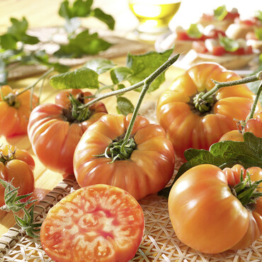 Tomate Ananas