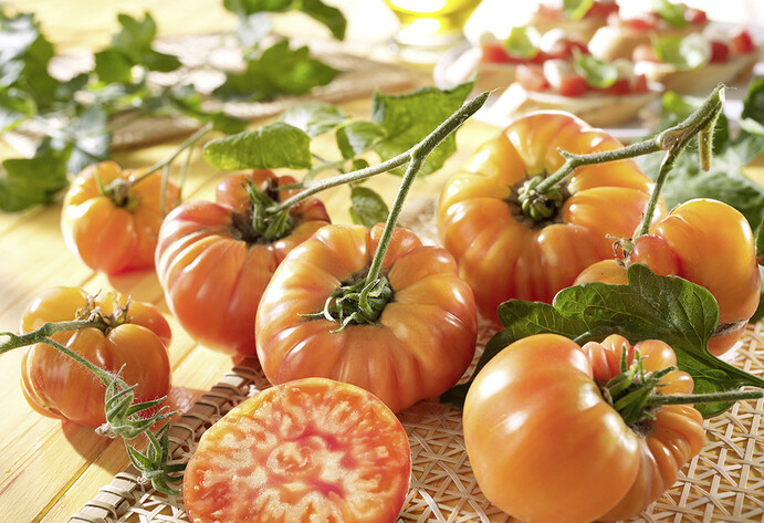 Tomate Ananas