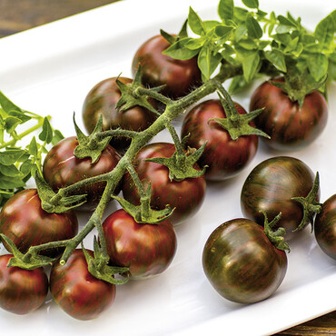 Tomate Tiger