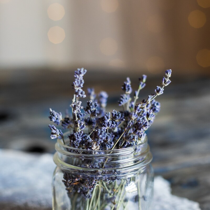 Getrocknete Lavendelzweige im Glas