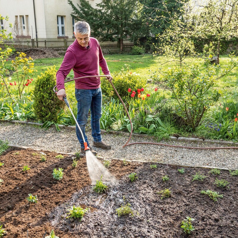 Bienenfreundliches Staudenbeet anlegen Schritt 9: Gründlich wässern