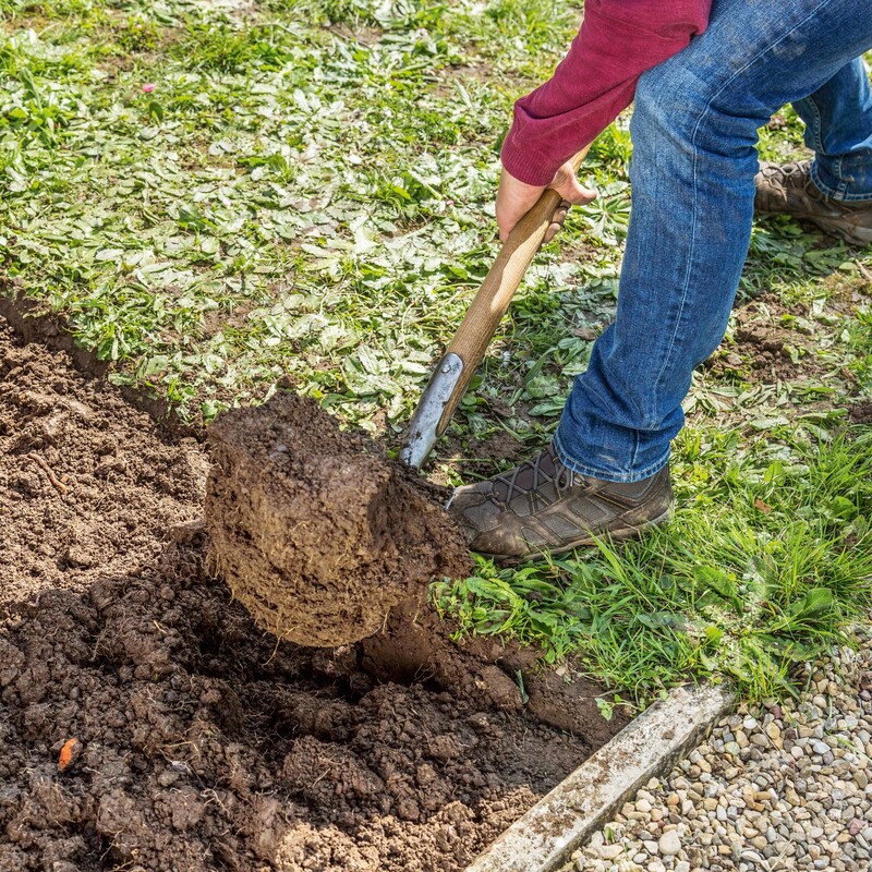 Bienenfreundliches Staudenbeet anlegen Schritt 2: Umgraben und absammeln