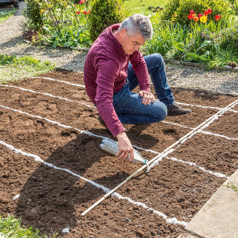 Bienenfreundliches Staudenbeet anlegen Schritt 6: Das Raster markieren