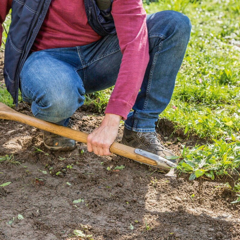 Bienenfreundliches Staudenbeet anlegen Schritt 1: Abstechen und abtragen