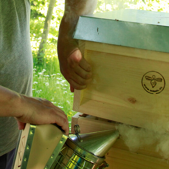 Der Imker verwendet Rauch, um die Bienen zu beruhigen