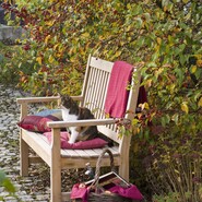 Katze auf einer Bank im Garten