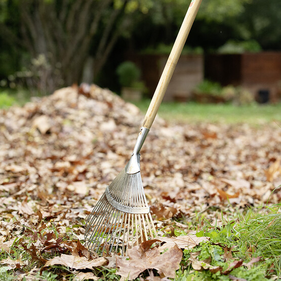 Herbstlaub mit Rechen